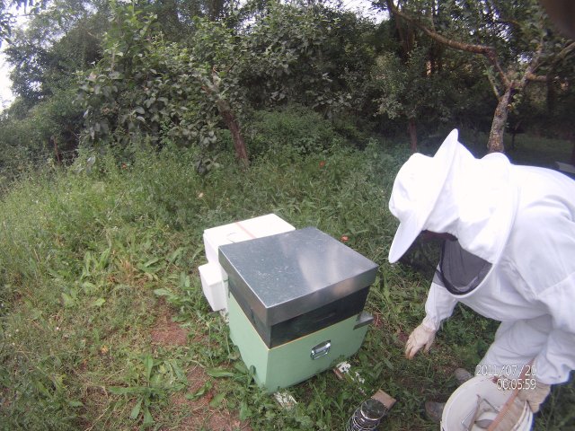 Primo Apiario 2015
